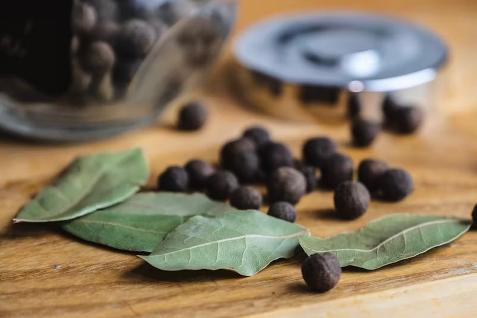 The Ultimate Guide to Bay Leaf Substitute Enhance Your Cooking with